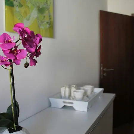 Ferienwohnung 아파트 *